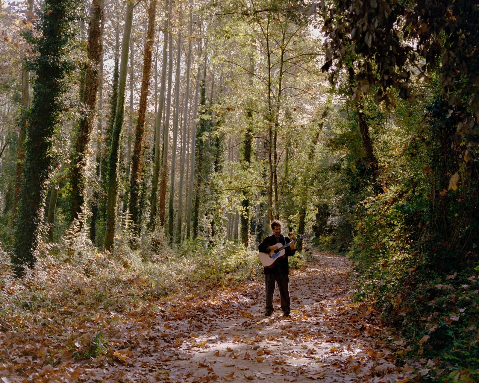 Artista con una guitarra en un sendero del bosque