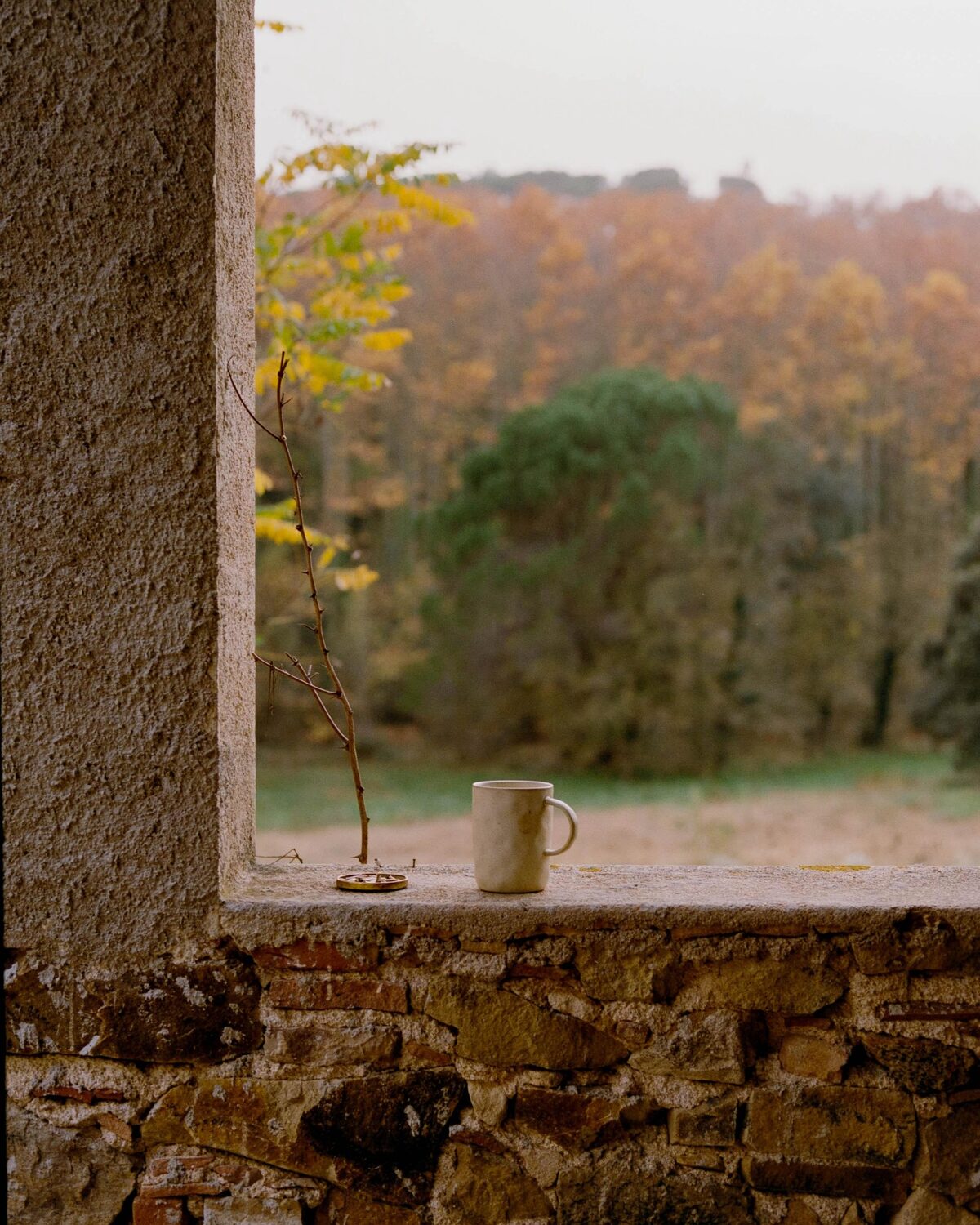 Vista del bosque desde una ventana de piedra de Can Silvestre